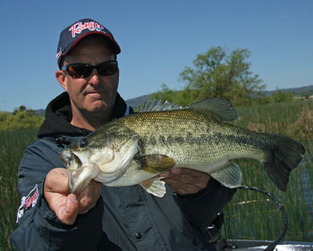 Spring Bass are hardly picky, so anglers fins a variety of baits produce